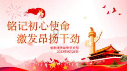 拼图合集